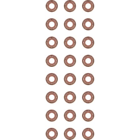 Reinz Valve Stem Seal Set, 12-29491-02 12-29491-02